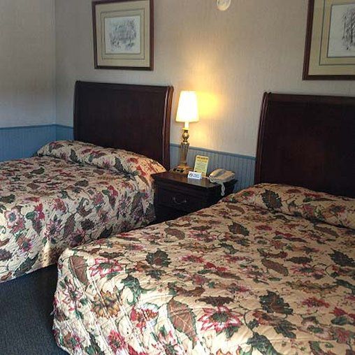 Cadet Motor Inn - Coldwater Cameră foto
